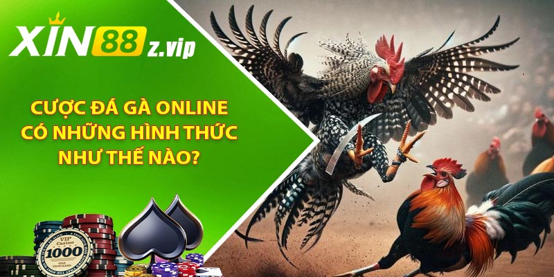 Cược đá gà online có những hình thức như thế nào?