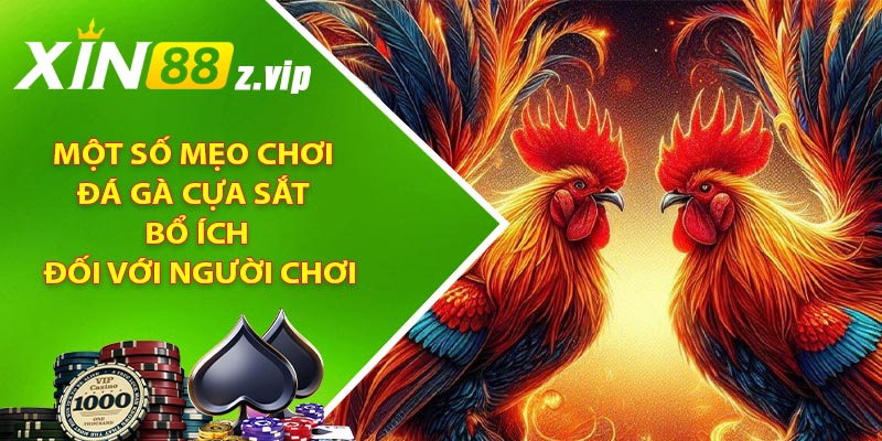 Một số mẹo chơi đá gà cựa sắt bổ ích đối với người chơi