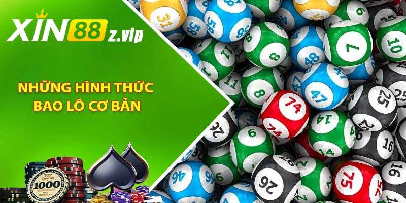 Những hình thức bao lô cơ bản