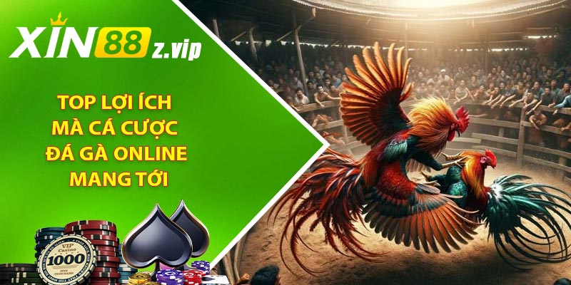 Top lợi ích mà cá cược đá gà online mang tới