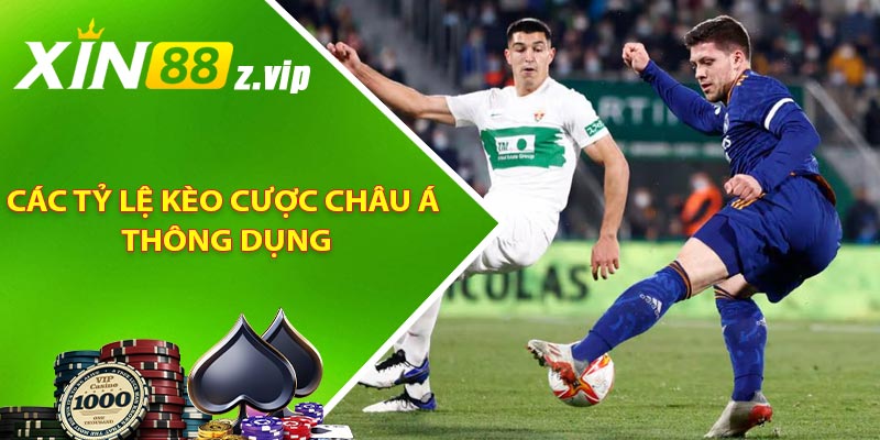 Các tỷ lệ kèo cược Châu Á thông dụng