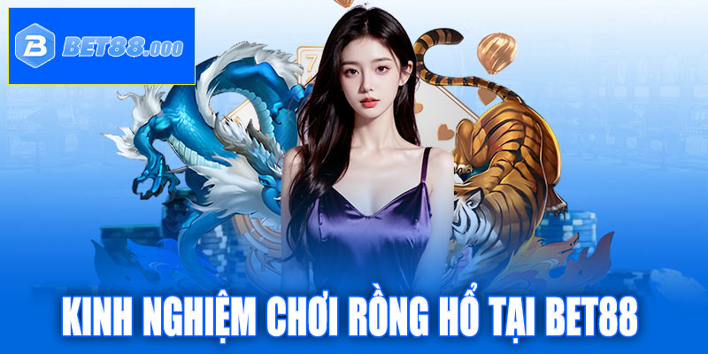 Kinh nghiệm chơi Rồng Hổ tại Bet88 từ chuyên gia Xin88